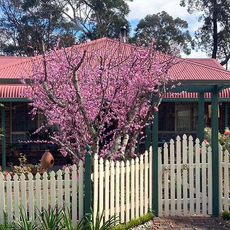 Blue Gum Cottage On Bay Bensville Buitenkant foto