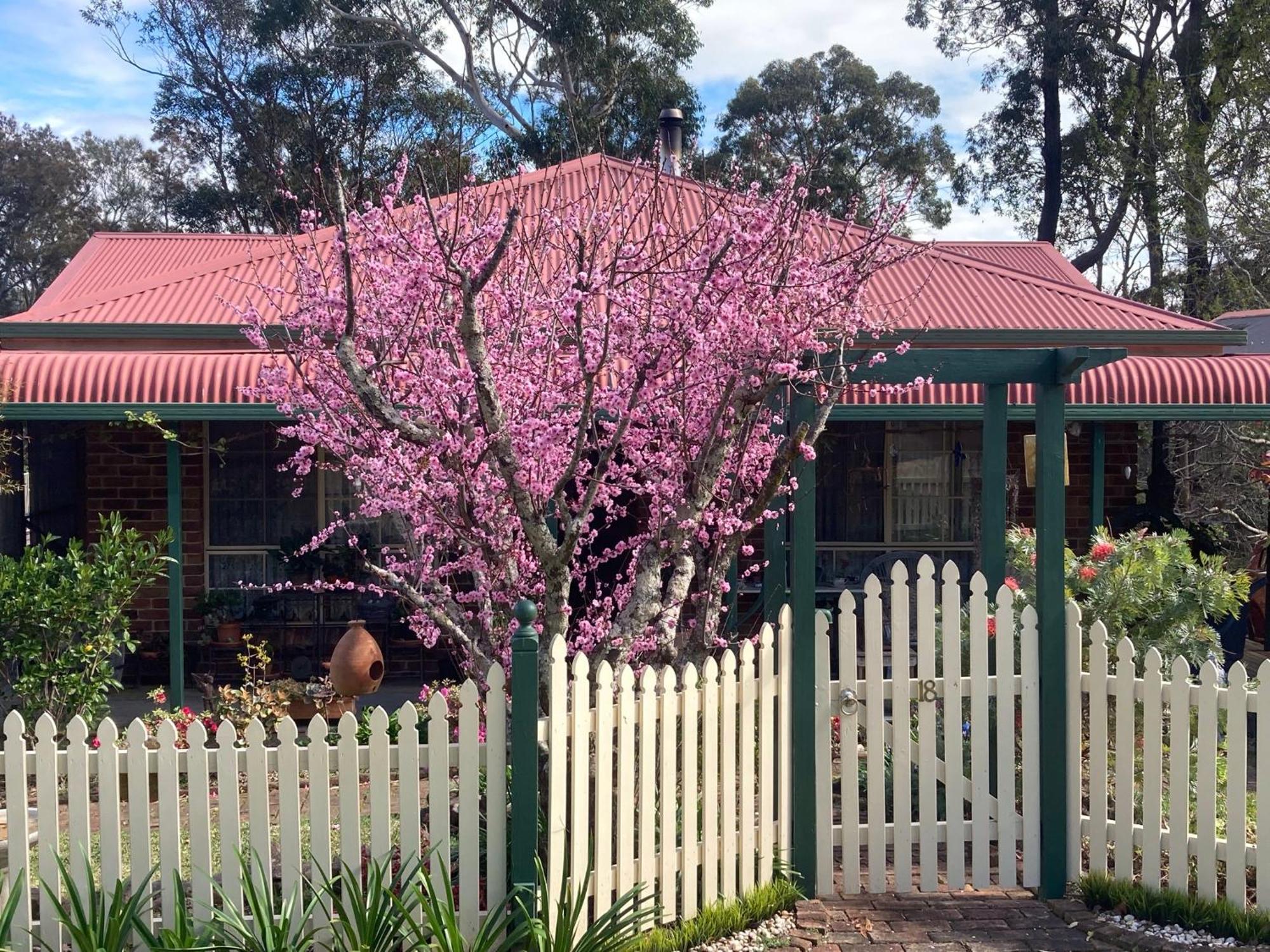 Blue Gum Cottage On Bay Bensville Buitenkant foto