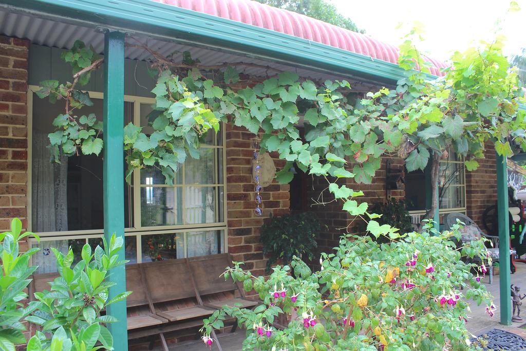 Blue Gum Cottage On Bay Bensville Kamer foto