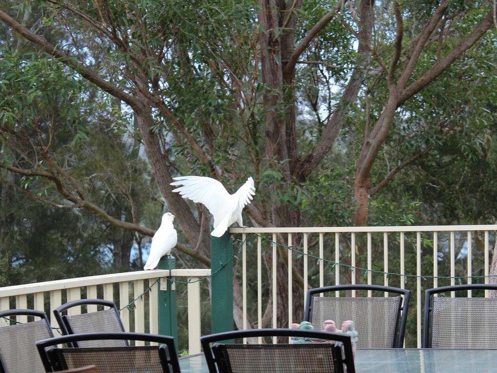 Blue Gum Cottage On Bay Bensville Buitenkant foto
